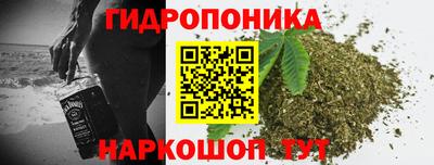 хмурый Дмитров
